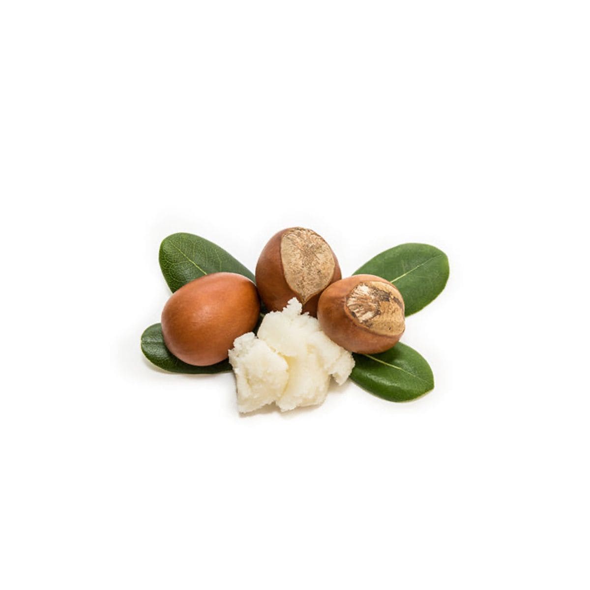 Shea Butter
